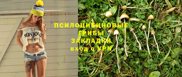 молекула духа Балахна