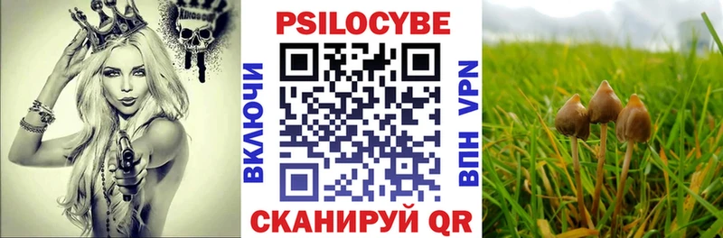 Галлюциногенные грибы GOLDEN TEACHER продажа наркотиков Новосиль